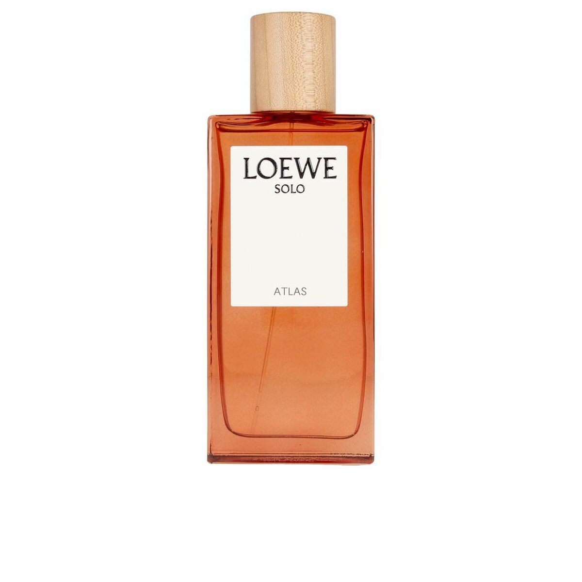 Herrenparfüm Loewe Solo Atlas EDP Solo Atlas 100 ml