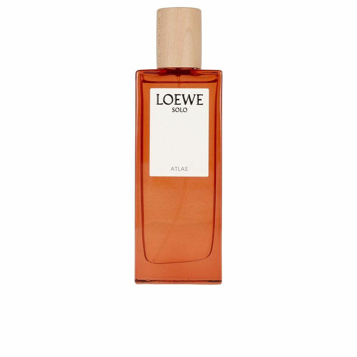 Herrenparfüm Loewe Solo Atlas EDP (50 ml)