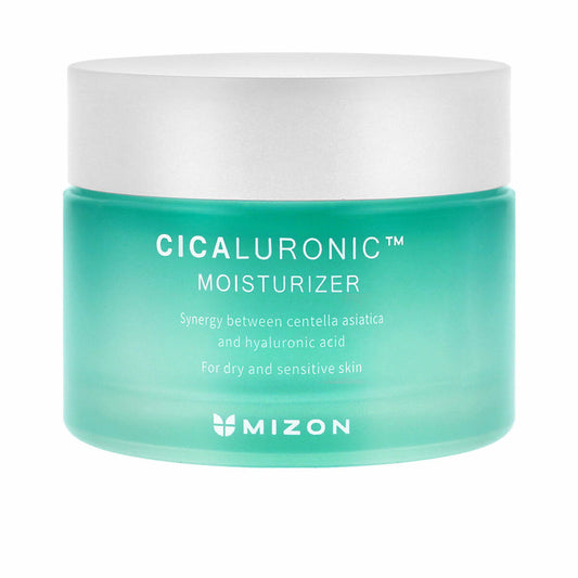 Gesichtscreme Mizon Cicaluronic 120 ml